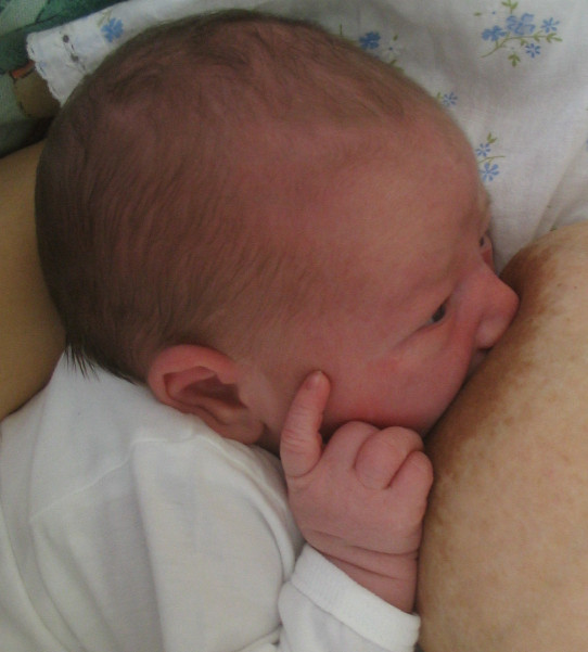 Allattamento neonato Biological Nurturing